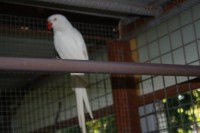 /album/rig-neck/img-2946-jpg/